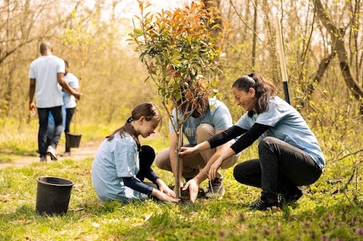 Tree Care Tips